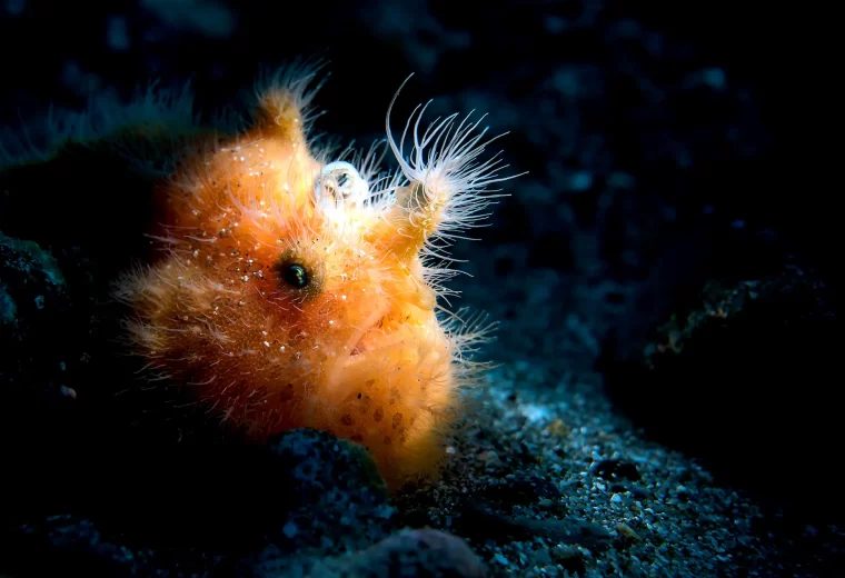 ilike_liveaboard_forgotten_island_01