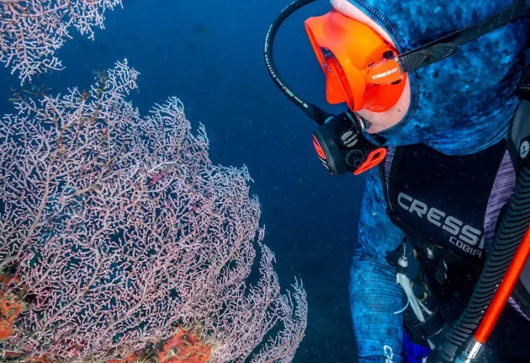 ilike_liveaboard_forgotten_island_11