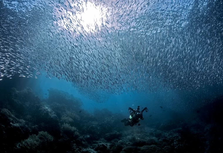 ilike_liveaboard_raja_ampat_02