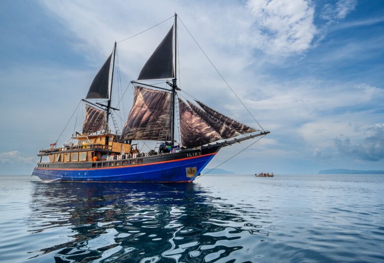 Ilike-Liveaboard_Alor_Diving_in_Indonesia_4